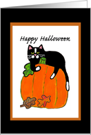 Happy Halloween - Cat - Pumpkin card