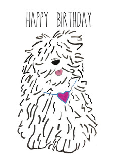 Birthday Komondor...