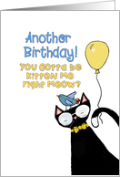 Another Birthday! You Gotta Be Kitten Me Right Meow? card