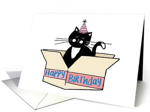 Happy Birthday Cat in the Box card (1909966)