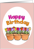 Happy Birthday Tulips in Clay Pots card