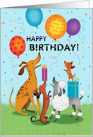 Birthday for Dog Lovers - Celebrating Dogs with Gifts and Balloons card
