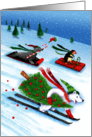 Snowy Skiing Polar Bear Sledding Penguin Sea Lion card