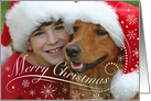 Custom Dog Theme Verse Photo Merry Christmas Snowflakes card