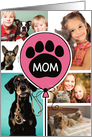 Happy Birthday Balloon From Pet to Mom Custom Photo card