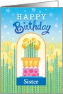 Happy Birthday Cake Candles Stars humor card