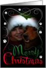 Dog Hand Lettered Merry Christmas Custom Photo Paw Prints card