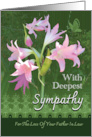 Loss Of Father In Law Sympathy Pink Day Lilies Butterfly card