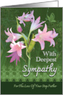 Loss Of Step Father Sympathy Pink Day Lilies Butterfly card