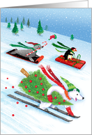 Snowy Skiing Polar Bear Sledding Penguin Sea Lion card