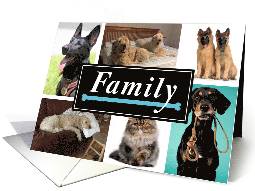 Dogs Family Photo Collage Father's Day From Pet card (1519170)