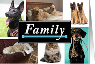 Dogs Family Photo Collage Father’s Day From Pet card