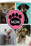 Mom Balloon Pawprint Mother’s Day Pink From Pet card