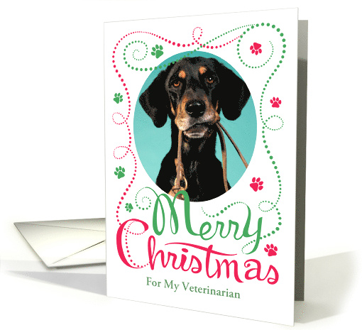 For My Veterinarian Merry Christmas Custom Photo Paws Border card