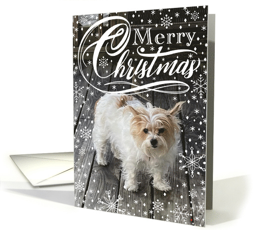 Custom Photo Merry Christmas Snowflake Typography card (1751170)