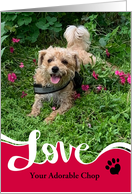 Fur Baby Custom Photo Valentine Heart Paw card