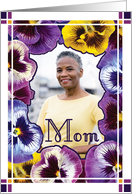 Mom Photo Happy Mother’s Day Pansy Border card