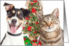 Dog and Cat Happy Holidays Card