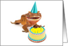 Funny Gecko Lizard Birthday Card