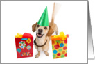 Cute Dog Wagging Tail Birthday Card