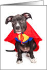 Happy Birthday to Dad - Cute Dog Superhero Photograph card