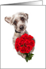 Cute Dog Delivering Valentine’s Day Roses card