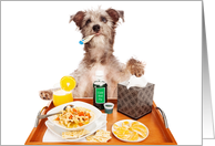 Sick As A Dog Get Well Card