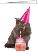 Cat with Pink Birthday Cupcake and Party Hat card