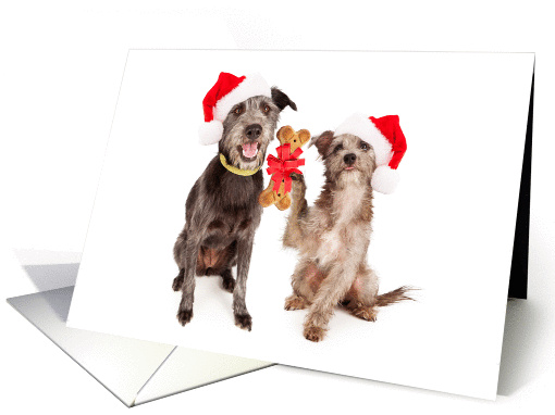 Dogs Sharing Holiday Cheer Christmas card (1413606)