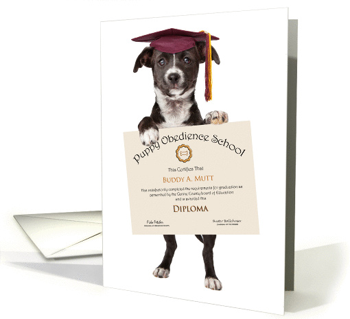 Congrats on Fetching Your Diploma - Graduation card (1413610)