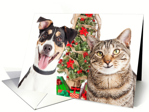 Dog and Cat Happy Holidays card (1413614)