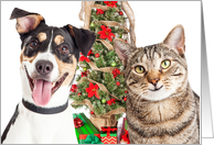 Dog and Cat Happy Holidays Card
