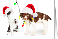 Cute Puppy and Kitten Christmas Card