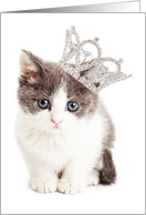 Pretty Princess Kitten Card