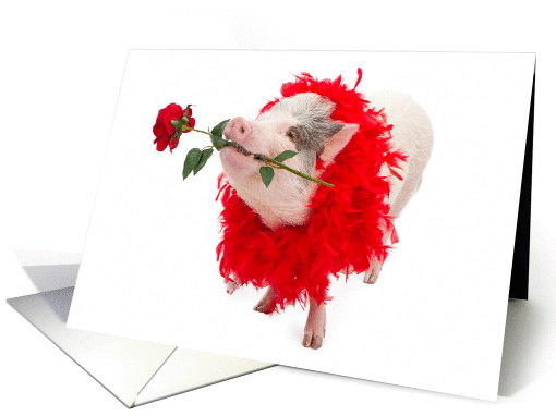 Hog You To Myself Valentine's Day card (1413626)