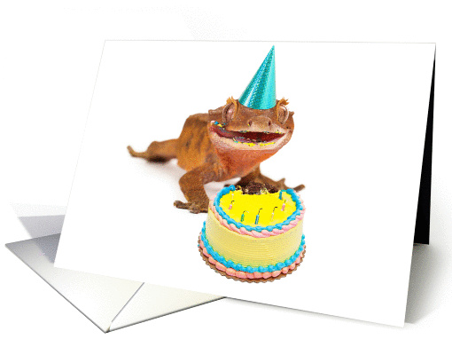 Funny Gecko Lizard Birthday card (1413628)