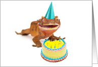 Funny Gecko Lizard Birthday Card