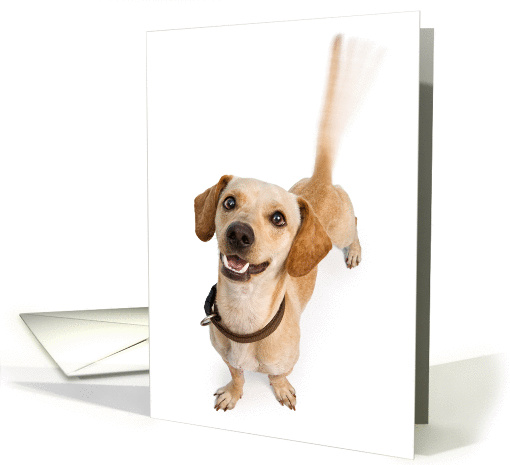 Tail-Wagging Dog Thank You card (1413632)