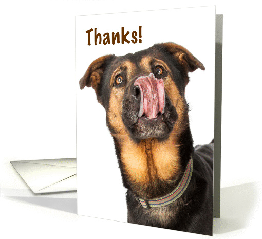 I Could Kiss You Thank You card (1413634)