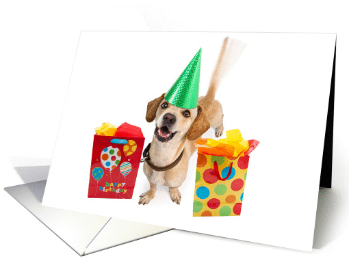 Cute Dog Wagging Tail Birthday card (1413636)