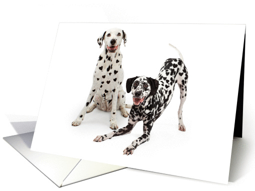 Dalmatian Dogs With Heart Shaped Spots - Valentines card (1413638)