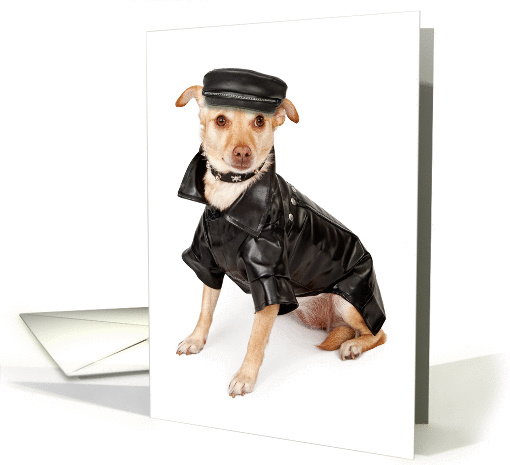 Funny Dog Apology card (1413640)