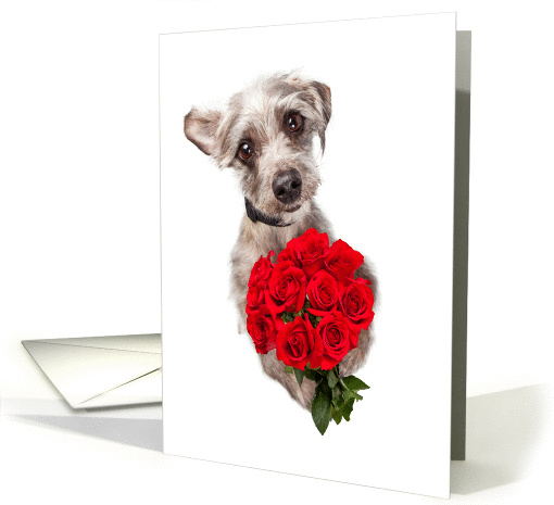 Apology Card With Cute Dog Delivering Roses card (1414790)