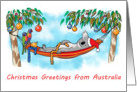Koala Relaxing on its Hammock  Greetings from Australia card