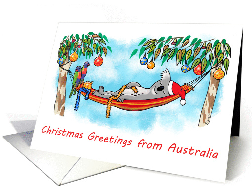 Koala Relaxing on its Hammock  Greetings from Australia card
