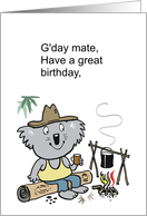 Happy koala bear...