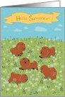 Happy Chow-chow on the blossoming field card