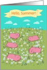 Happy pigs on the blossoming field. Hello, Summer card
