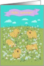 Cute puppies Chow-chow on the blossoming field. Hello, summer! card