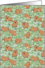 Cute puppies Chow-chow on the blossoming field. card
